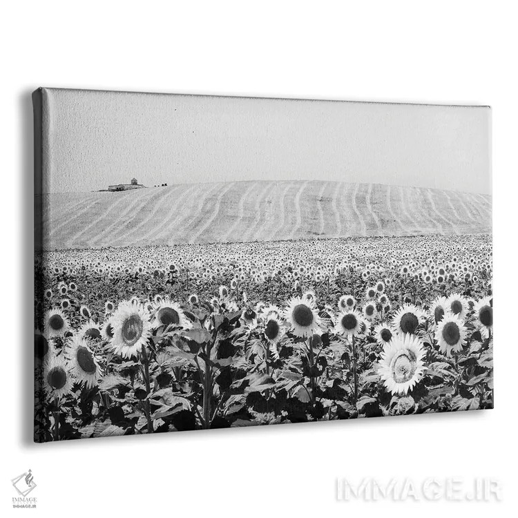 تابلو دکوراتیو مزرعه آفتابگردان کادیز اثر استیفن هاجتس - نمای پرسپکتیو محصول