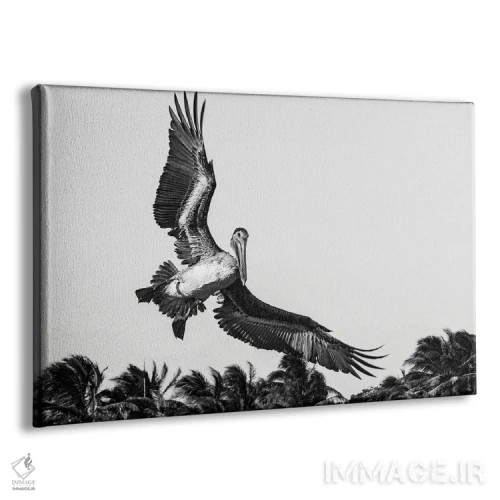 تابلو دکوراتیو پلیکان هنگام فرود آمدن اثر استیفن هاجتس - نمای پرسپکتیو محصول