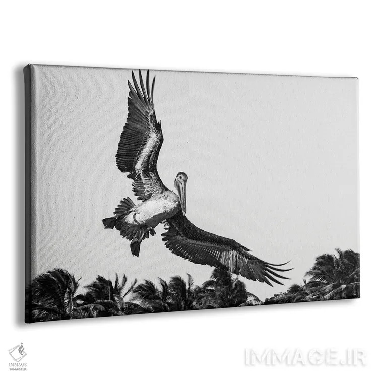 تابلو دکوراتیو پلیکان هنگام فرود آمدن اثر استیفن هاجتس - نمای پرسپکتیو محصول