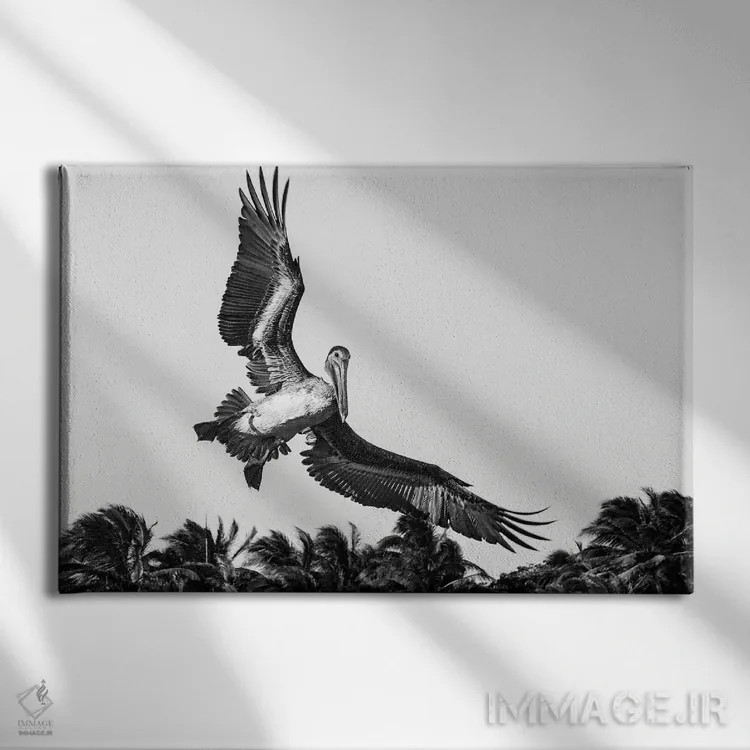 تابلو دکوراتیو پلیکان هنگام فرود آمدن اثر استیفن هاجتس - نمای روبهرو روی دیوار