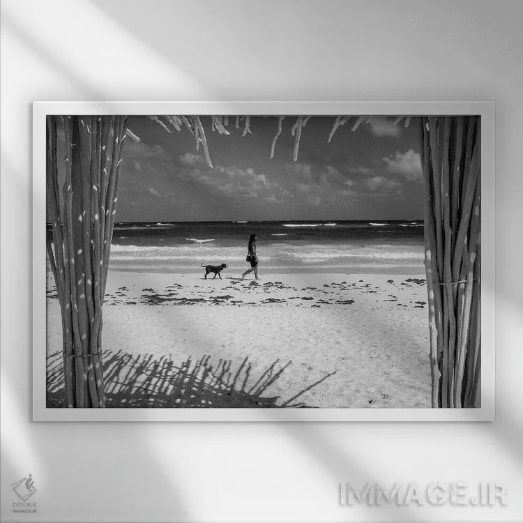 تابلو دکوراتیو یک مرد و سگش اثر استیفن هاجتس - نمای قابدار سفید