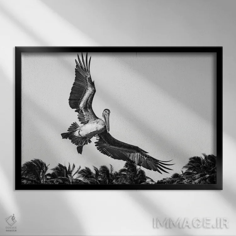 تابلو دکوراتیو پلیکان هنگام فرود آمدن اثر استیفن هاجتس - نمای قابدار مشکی