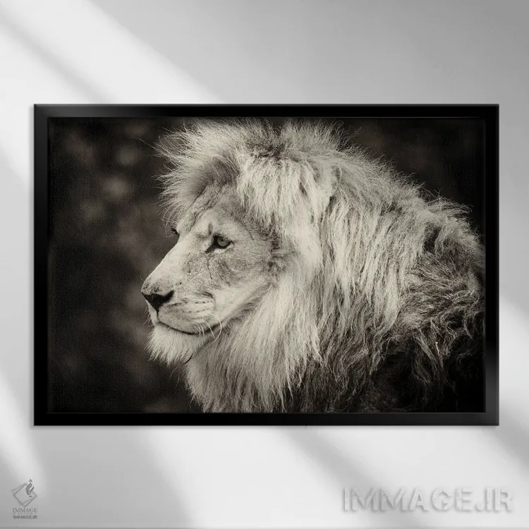 تابلو دکوراتیو شیر نر اثر استیفن هاجتس - نمای قابدار مشکی