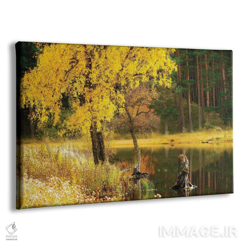 تابلو دکوراتیو پاییز در اسکاتلند اثر استیفن هاجتس - نمای پرسپکتیو محصول