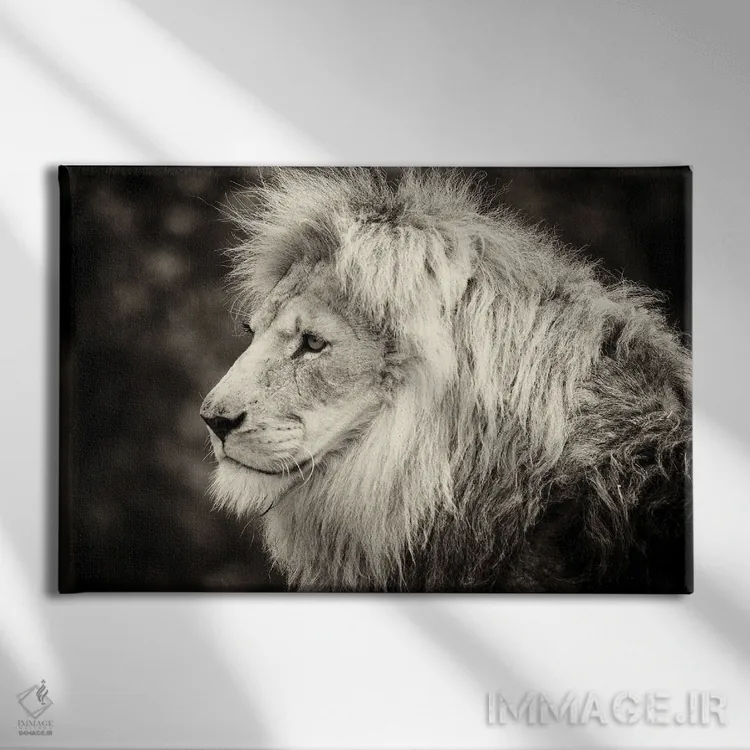 تابلو دکوراتیو چاپ قدیمی شیر نر اثر استیفن هاجتس - نمای روبهرو روی دیوار