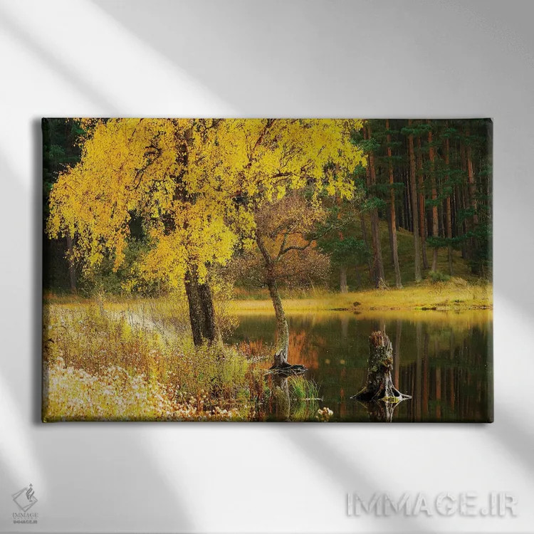 تابلو دکوراتیو پاییز در اسکاتلند اثر استیفن هاجتس - نمای روبهرو روی دیوار