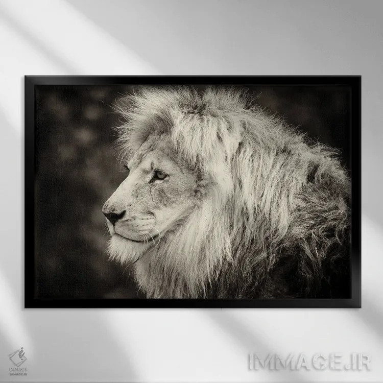 تابلو دکوراتیو چاپ قدیمی شیر نر اثر استیفن هاجتس - نمای قابدار مشکی