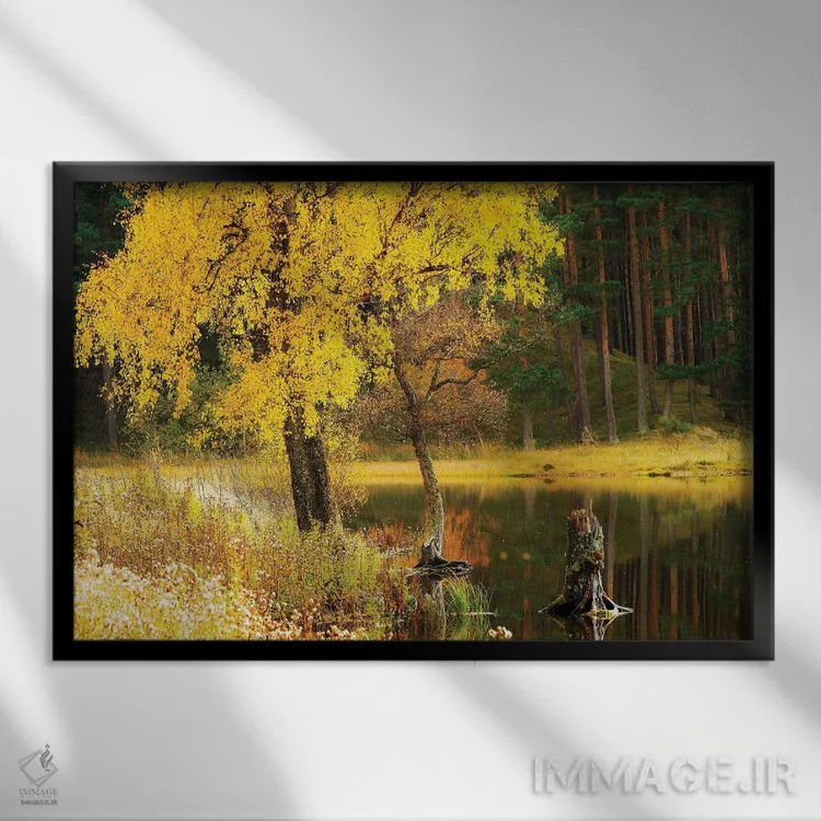 تابلو دکوراتیو پاییز در اسکاتلند اثر استیفن هاجتس - نمای قابدار مشکی