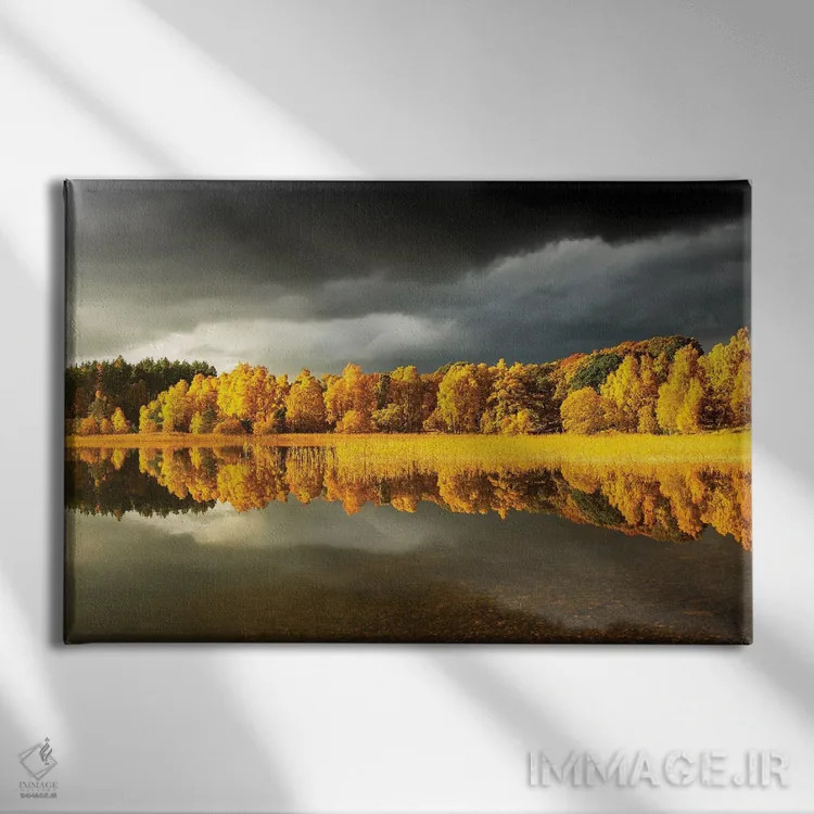 تابلو دکوراتیو درخت پاییزی پانوراما اثر استیفن هاجتس - نمای روبهرو روی دیوار