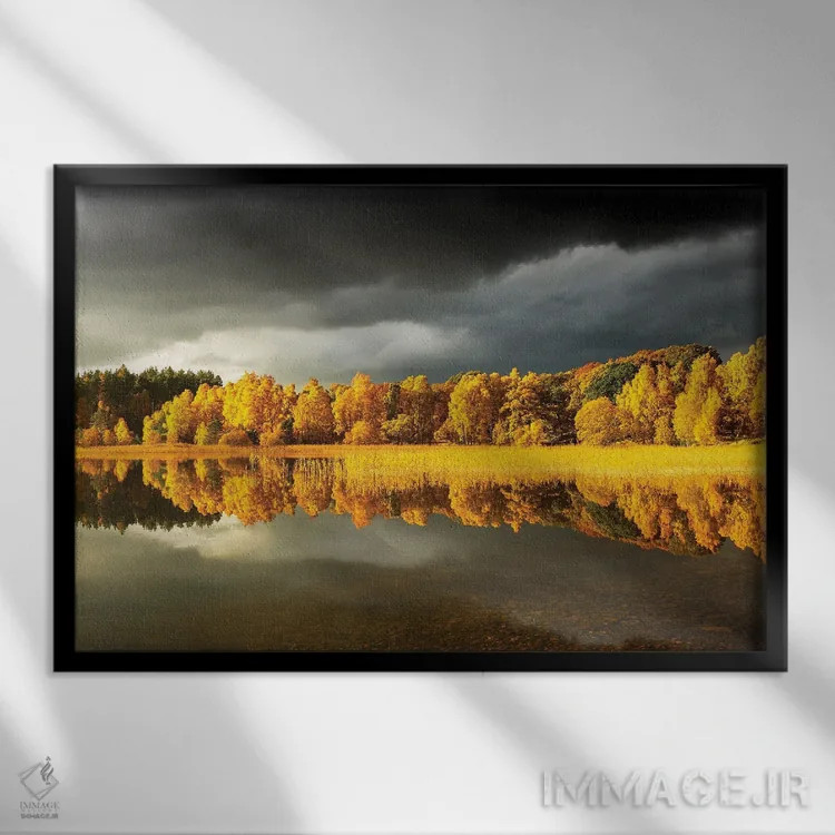 تابلو دکوراتیو درخت پاییزی پانوراما اثر استیفن هاجتس - نمای قابدار مشکی