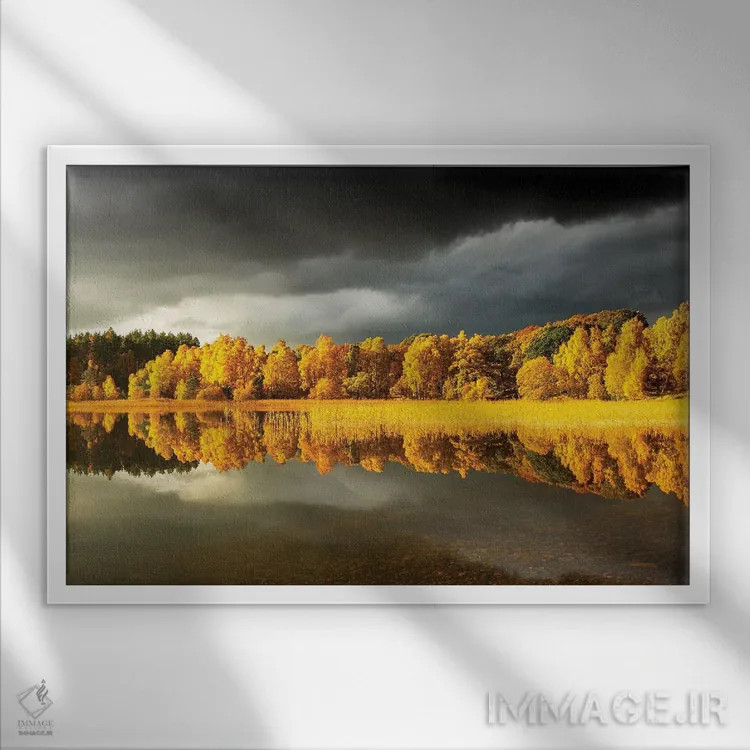 تابلو دکوراتیو درخت پاییزی پانوراما اثر استیفن هاجتس - نمای قابدار سفید