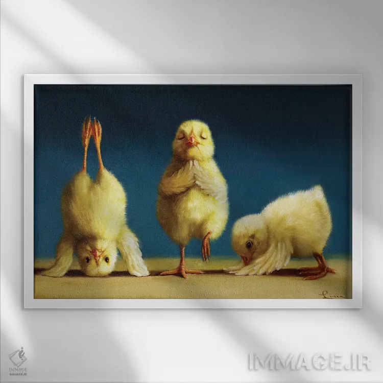 تابلو دکوراتیو جوجه های یوگاکار یک اثر لوسیا هفرنان - نمای قابدار سفید