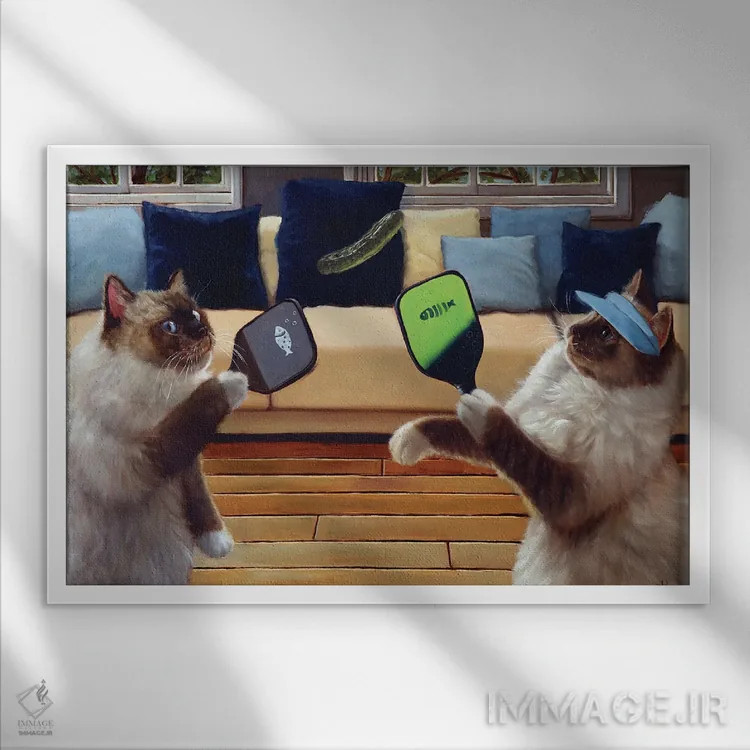 تابلو دکوراتیو پیکل بال اثر لوسیا هفرنان - نمای قابدار سفید