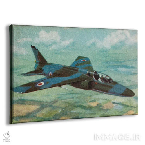 تابلو دکوراتیو پشه ریز اثر همینگوی دیزاین - نمای پرسپکتیو محصول