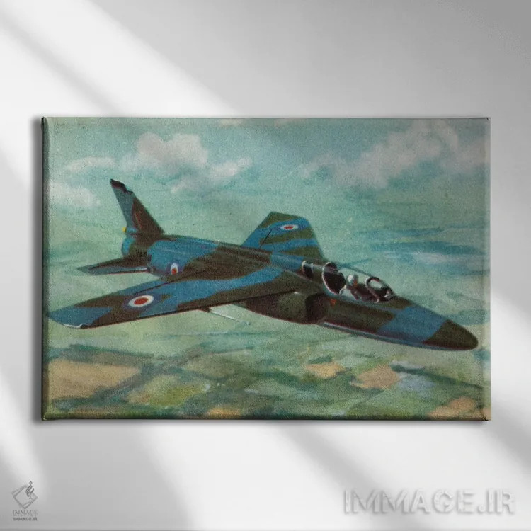 تابلو دکوراتیو پشه ریز اثر همینگوی دیزاین - نمای روبهرو روی دیوار