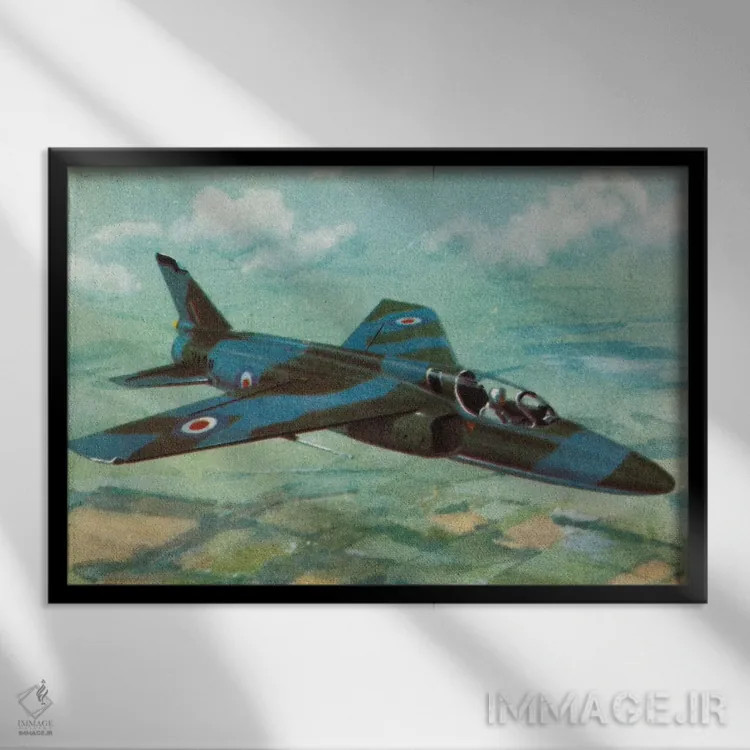 تابلو دکوراتیو پشه ریز اثر همینگوی دیزاین - نمای قابدار مشکی