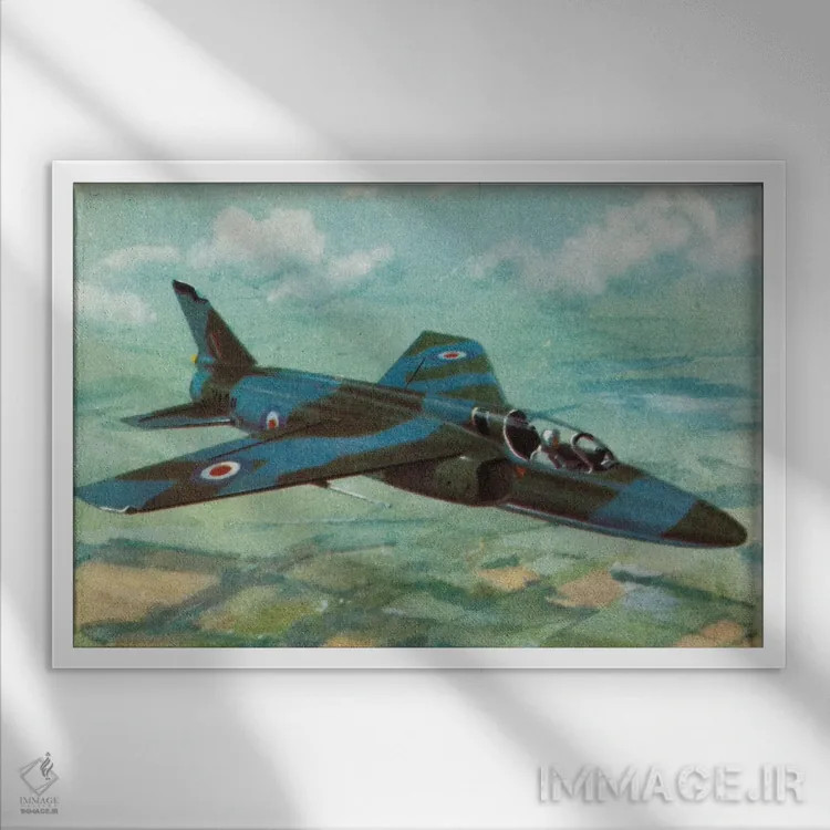 تابلو دکوراتیو پشه ریز اثر همینگوی دیزاین - نمای قابدار سفید