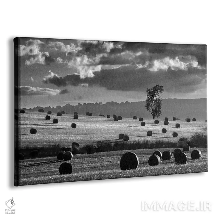 تابلو مدرن کپه های علف خشک اثر مارتین هندسون - نمای پرسپکتیو محصول