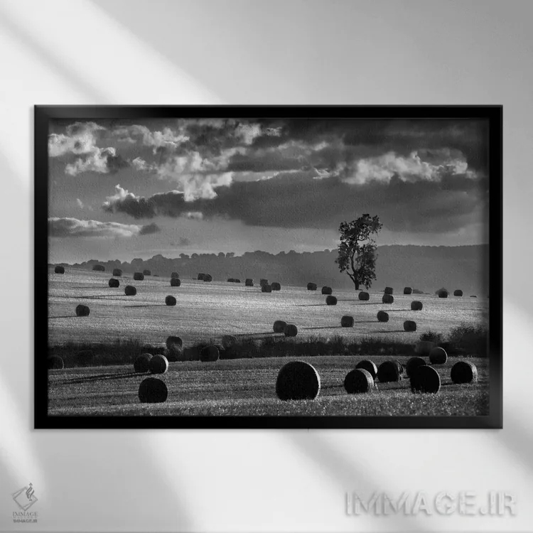 تابلو مدرن کپه های علف خشک اثر مارتین هندسون - نمای قابدار مشکی