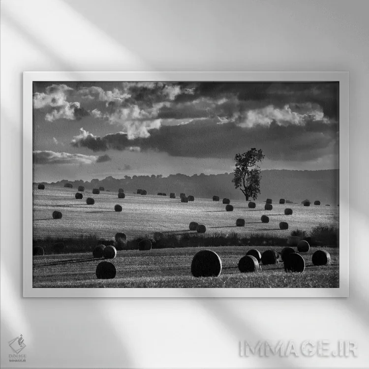 تابلو مدرن کپه های علف خشک اثر مارتین هندسون - نمای قابدار سفید