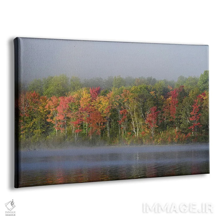 تابلو دکوراتیو Maine. Two Canoeists Paddle In The Fog, Baxter State Park,آم… اثر هاوی گاربر - نمای پرسپکتیو محصول