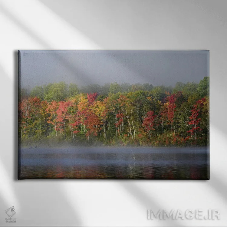 تابلو دکوراتیو Maine. Two Canoeists Paddle In The Fog, Baxter State Park,آم… اثر هاوی گاربر - نمای روبهرو روی دیوار