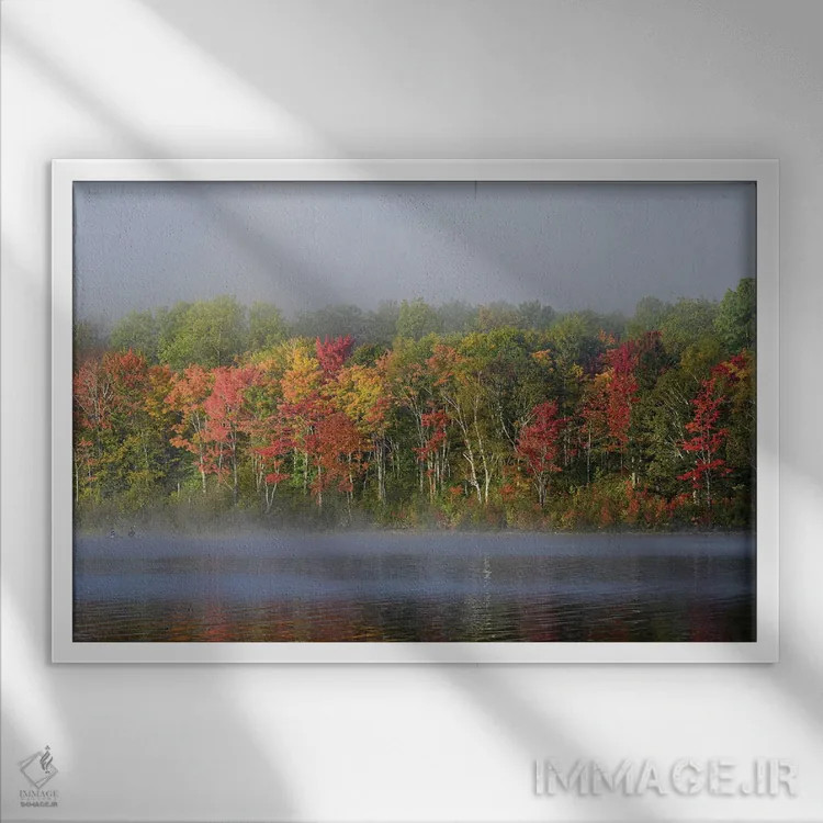 تابلو دکوراتیو Maine. Two Canoeists Paddle In The Fog, Baxter State Park,آم… اثر هاوی گاربر - نمای قابدار سفید