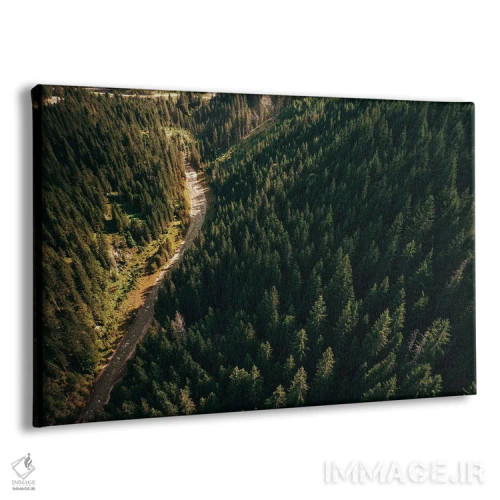 تابلو دکوراتیو جاده ای میان درختان اثر سباستین هیلگتاگ - نمای پرسپکتیو محصول