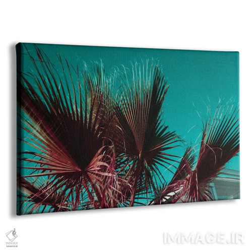 تابلو دکوراتیو نخل ها ۴ اثر سباستین هیلگتاگ - نمای پرسپکتیو محصول