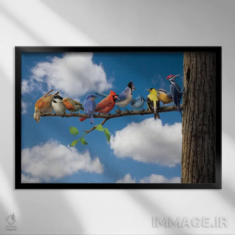 تابلو دکوراتیو پرندگان اثر وینسنت های - نمای قابدار مشکی
