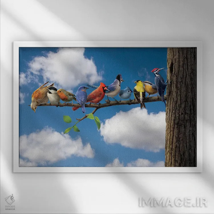 تابلو دکوراتیو پرندگان اثر وینسنت های - نمای قابدار سفید