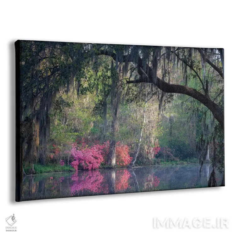 تابلو دکوراتیو آرامش صبحگاهی اثر اچ. جی. هررا - نمای پرسپکتیو محصول