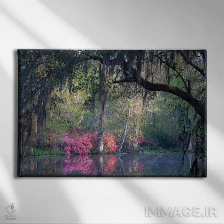 تابلو دکوراتیو آرامش صبحگاهی اثر اچ. جی. هررا - نمای روبهرو روی دیوار