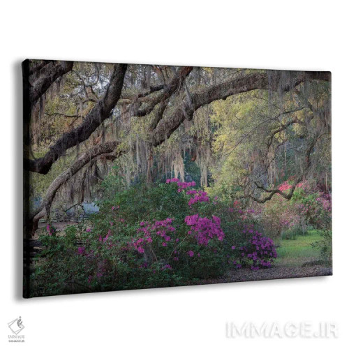 تابلو دکوراتیو بلوط ها و آزالیاها اثر اچ. جی. هررا - نمای پرسپکتیو محصول