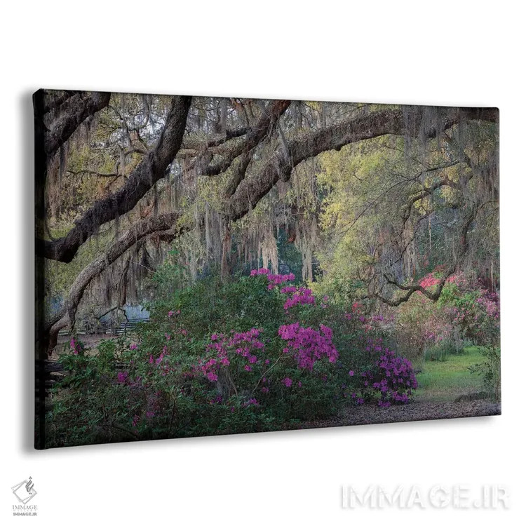 تابلو دکوراتیو بلوط ها و آزالیاها اثر اچ. جی. هررا - نمای پرسپکتیو محصول