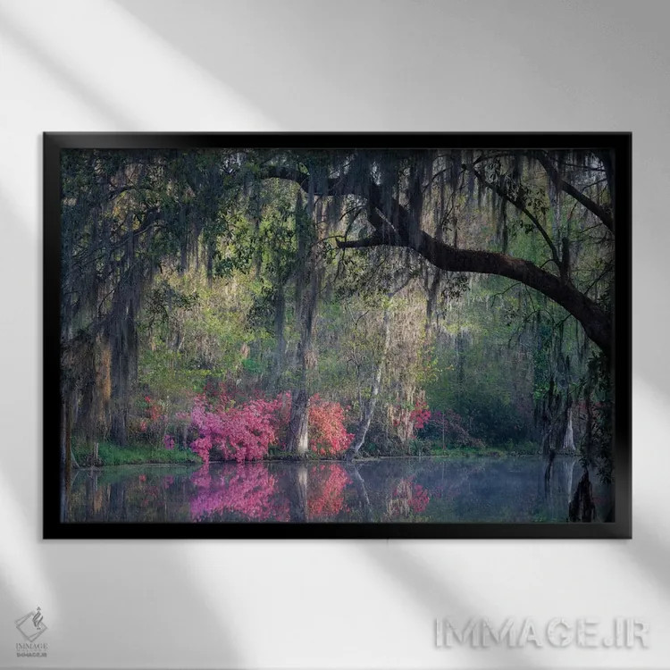 تابلو دکوراتیو آرامش صبحگاهی اثر اچ. جی. هررا - نمای قابدار مشکی