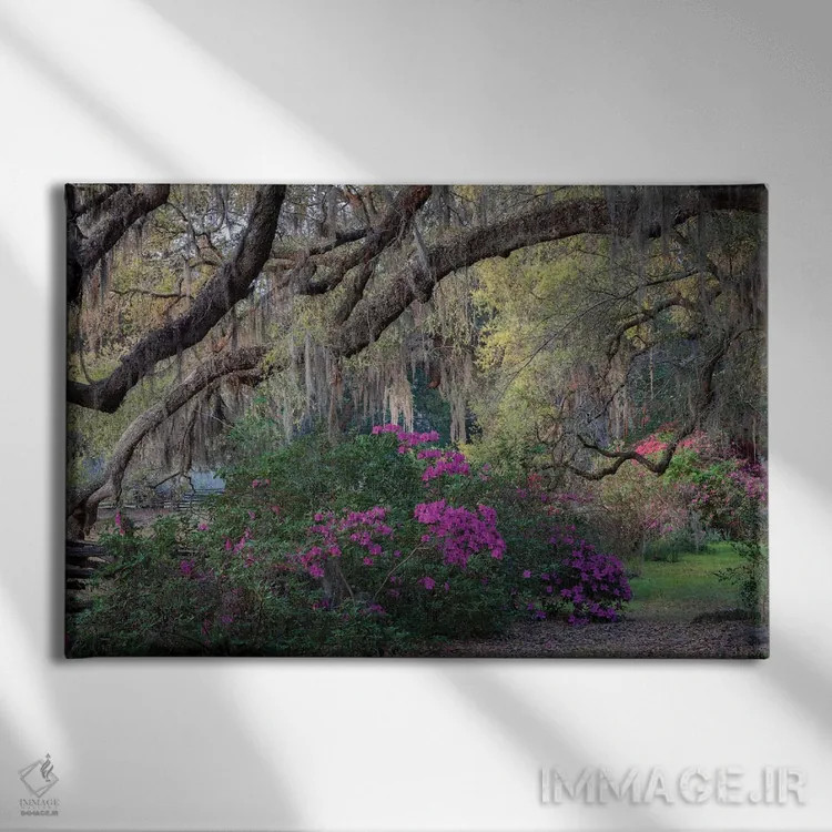 تابلو دکوراتیو بلوط ها و آزالیاها اثر اچ. جی. هررا - نمای روبهرو روی دیوار