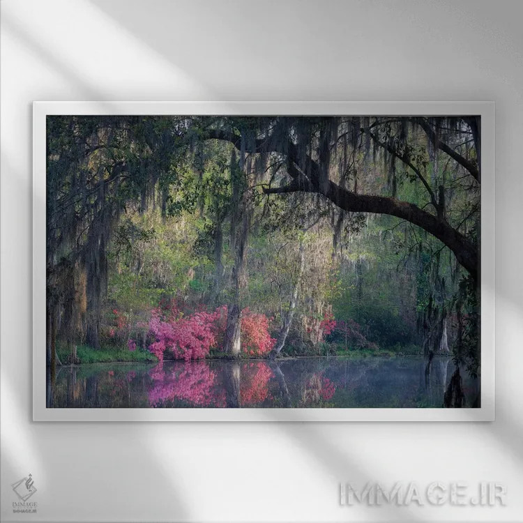 تابلو دکوراتیو آرامش صبحگاهی اثر اچ. جی. هررا - نمای قابدار سفید