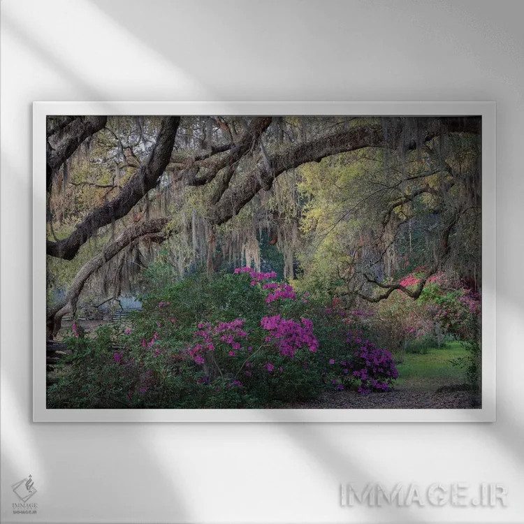 تابلو دکوراتیو بلوط ها و آزالیاها اثر اچ. جی. هررا - نمای قابدار سفید