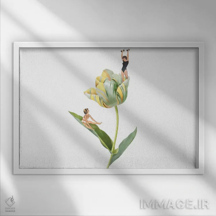 تابلو دکوراتیو خودنمایی اثر هدر لندیس - نمای قابدار سفید