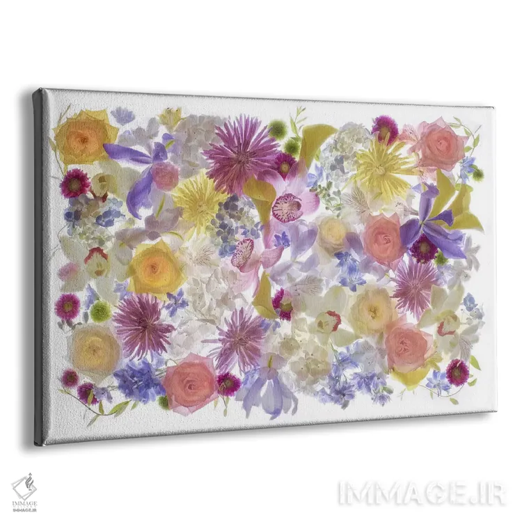 تابلو دکوراتیو Florida. Floral bounty II,آمریکا، فلوریدا، فراوانی گل ها II اثر هولیس لونی - نمای پرسپکتیو محصول