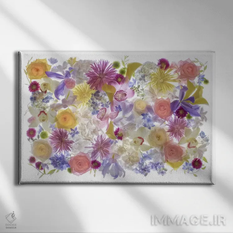 تابلو دکوراتیو Florida. Floral bounty II,آمریکا، فلوریدا، فراوانی گل ها II اثر هولیس لونی - نمای روبهرو روی دیوار