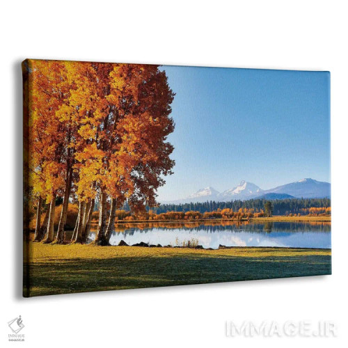 تابلو دکوراتیو Oregon, Bend, Fall at Black Butte Ranch in Central Oregon I… اثر هولیس لونی - نمای پرسپکتیو محصول