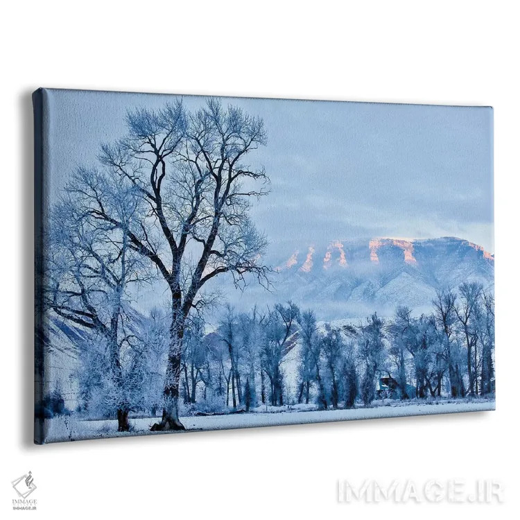 تابلو دکوراتیو Wyoming, Shell, Hoar Frost in the Valley,آمریکا، وایومینگ، ش… اثر هولیس لونی - نمای پرسپکتیو محصول