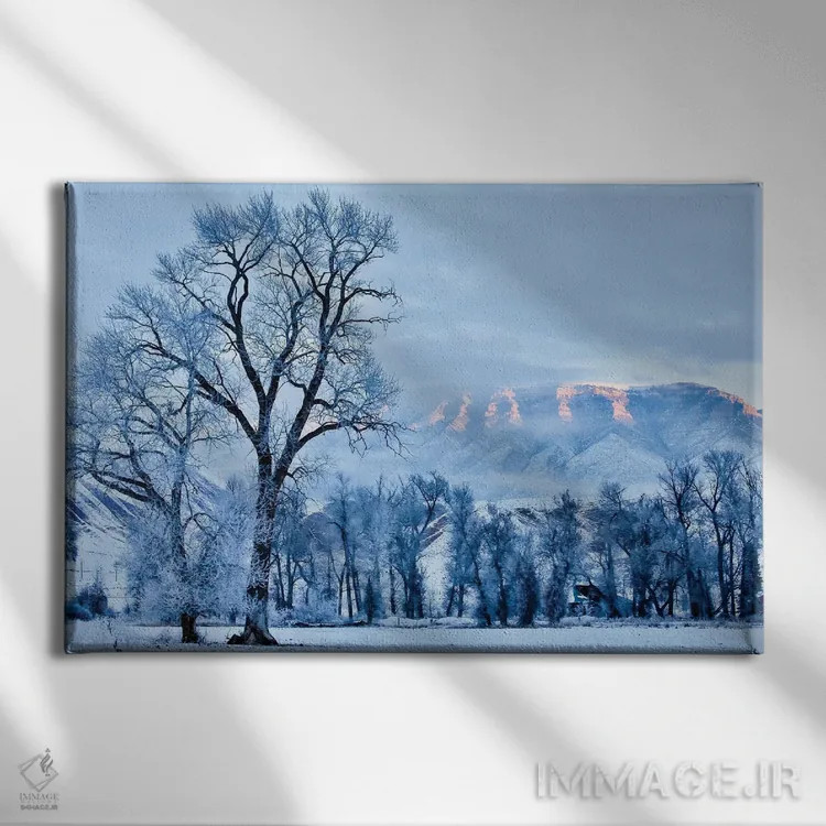 تابلو دکوراتیو Wyoming, Shell, Hoar Frost in the Valley,آمریکا، وایومینگ، ش… اثر هولیس لونی - نمای روبهرو روی دیوار