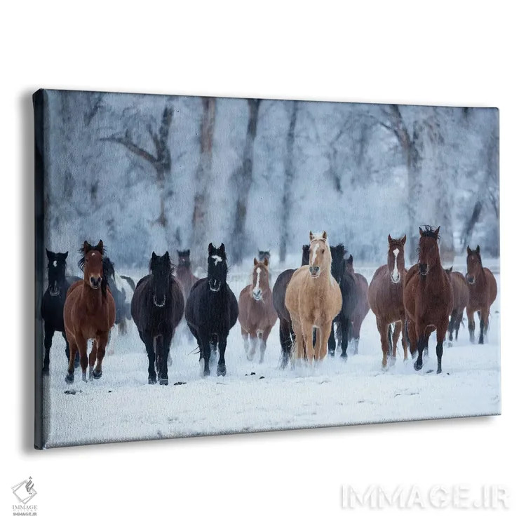 تابلو دکوراتیو Wyoming, Shell, Horses in the Cold,آمریکا، وایومینگ، شل، اسب… اثر هولیس لونی - نمای پرسپکتیو محصول
