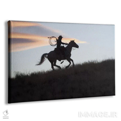 تابلو دکوراتیو Wyoming, Shell, The Hideout Ranch, Silhouette of Cowgirl wit… اثر هولیس لونی - نمای پرسپکتیو محصول