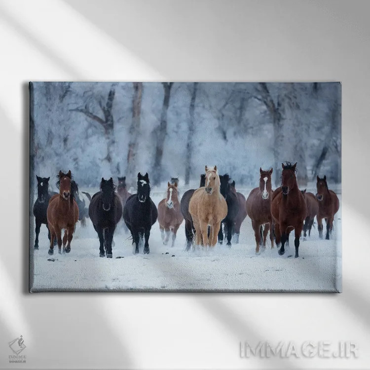 تابلو دکوراتیو Wyoming, Shell, Horses in the Cold,آمریکا، وایومینگ، شل، اسب… اثر هولیس لونی - نمای روبهرو روی دیوار