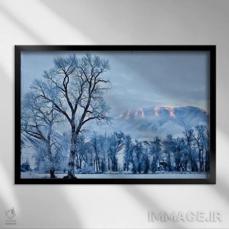 تابلو دکوراتیو Wyoming, Shell, Hoar Frost in the Valley,آمریکا، وایومینگ، ش… اثر هولیس لونی - نمای قابدار مشکی