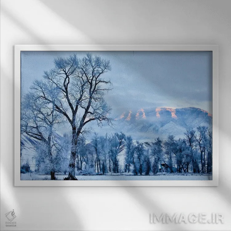 تابلو دکوراتیو Wyoming, Shell, Hoar Frost in the Valley,آمریکا، وایومینگ، ش… اثر هولیس لونی - نمای قابدار سفید